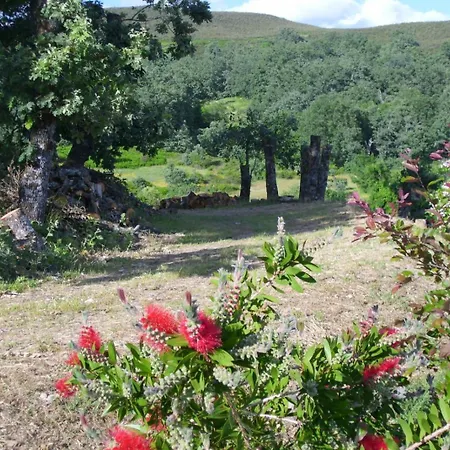 Onigal Lägenhet